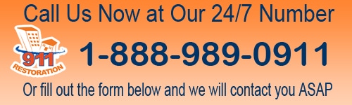 911 contact us
